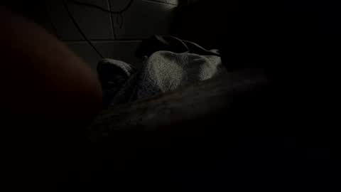 Snapshot of hartwell84 chatting on January 2025 10:22:01 AM J Hart online show from January 2025 10:22:01 AM