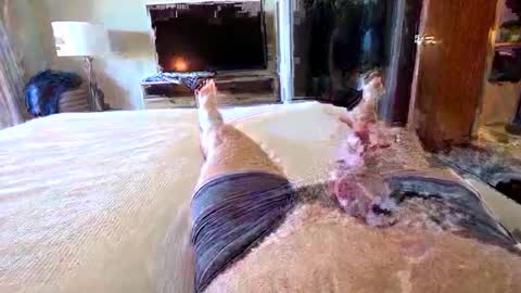 Snapshot of havebeardwilltravel3250 chatting on January 2026 07:28:02 PM havebeardwilltravel3250 online show from January 2026 07:28:02 PM