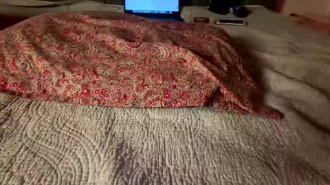 Amber  -   or vip  online show from March 2026 04:05:01 AM