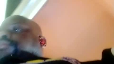 hbdj2164 online show from February 2025 03:40:01 PM