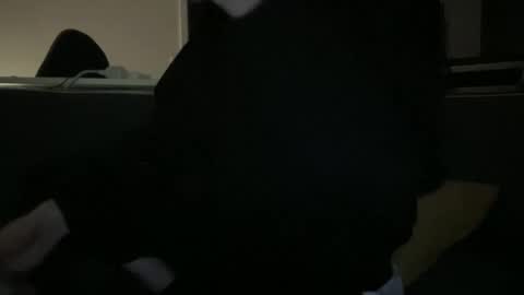 Snapshot of hchappel19 chatting on October 2025 08:15:01 PM hchappel19 online show from October 2025 08:15:01 PM