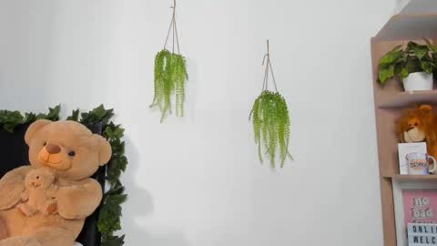 alan y zack online show from March 2026 12:57:02 PM