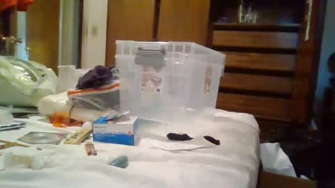 Roxanne online show from July 2026 11:25:02 PM
