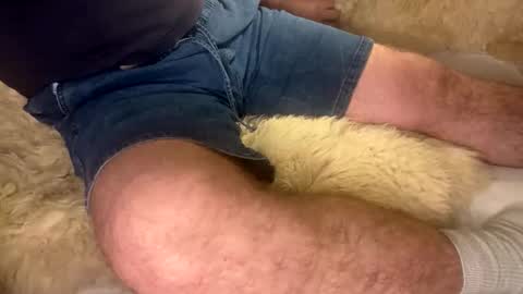 David Whinston Smith online show from September 2025 07:20:01 AM