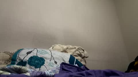 hellokitten123 online show from January 2025 09:40:01 PM