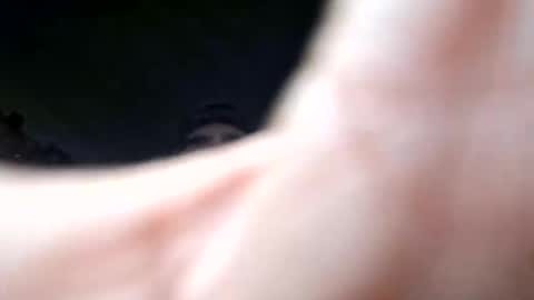 herjafe online show from March 2026 05:19:01 AM