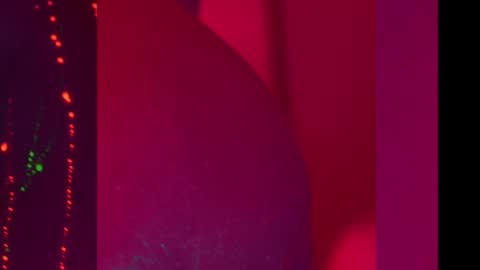 Alina online show from December 2024 08:18:01 PM