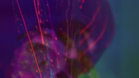 Alina online show from September 2025 05:34:02 PM