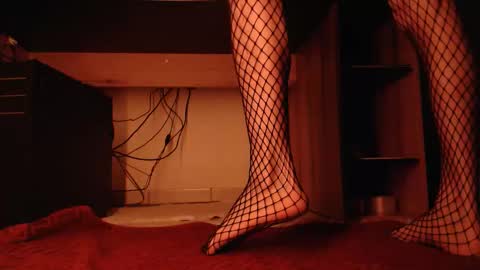 Snapshot of hibo66 chatting on January 2026 02:04:01 AM InMyAss online show from January 2026 02:04:01 AM