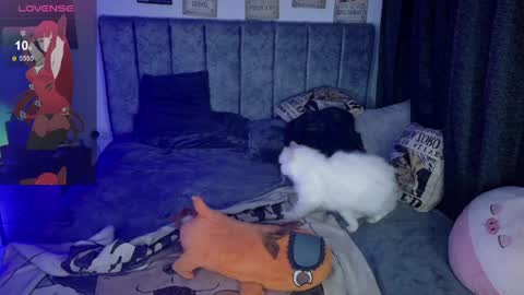 Inori Independent model online show from April 2026 06:44:01 AM