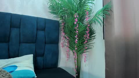 holly online show from November 2025 07:13:01 PM