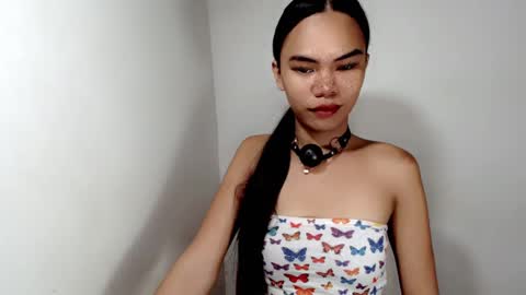 hollyhalo online show from November 2025 04:23:01 AM