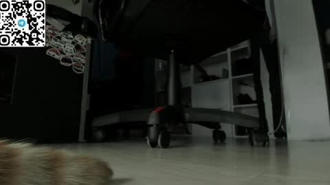 holy_mistresss online show from April 2026 07:40:01 AM