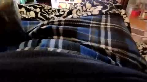 holycannoli123 online show from November 2025 01:43:01 PM