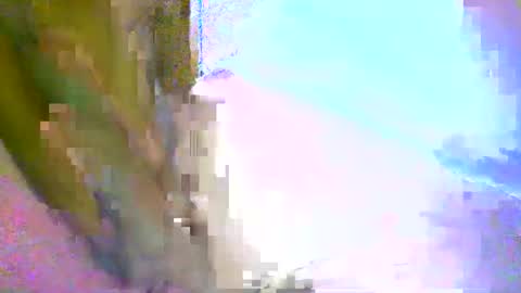 Snapshot of honey1963 chatting on March 2026 09:50:01 PM honey1963 online show from March 2026 09:50:01 PM