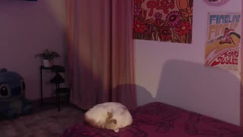 Snapshot of honeyypeaach chatting on December 2024 12:12:02 AM online show from December 2024 12:12:02 AM