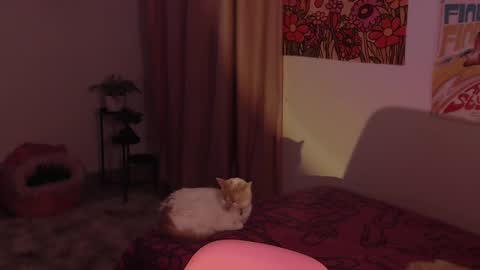 Snapshot of honeyypeaach chatting on December 2024 11:30:01 PM online show from December 2024 11:30:01 PM