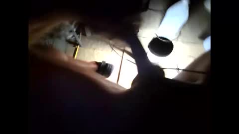 hongdong online show from November 2025 10:23:01 AM