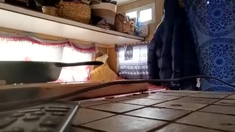 hoodoou online show from December 2025 07:21:01 PM