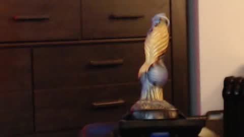 Snapshot of hookedup2 chatting on February 2026 04:38:02 AM ItsReeleMe online show from February 2026 04:38:02 AM