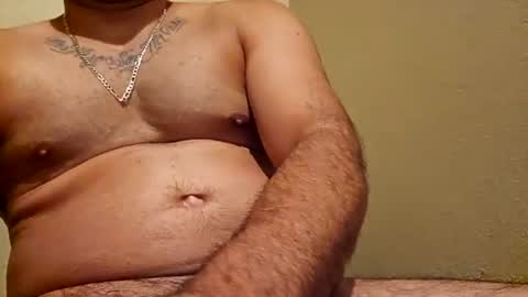 Hornlat online show from August 2026 09:04:01 AM