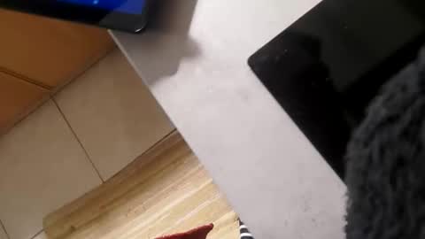 Jan online show from October 2025 04:46:01 PM