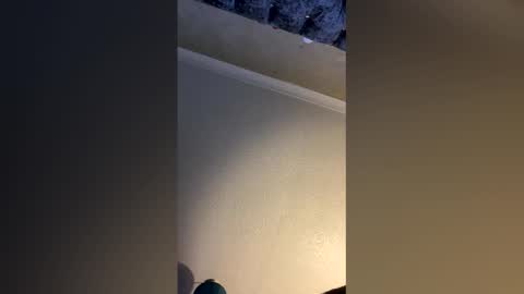 Snapshot of hornycouple2424 chatting on December 2025 12:25:01 PM hornycouple2424 online show from December 2025 12:25:01 PM