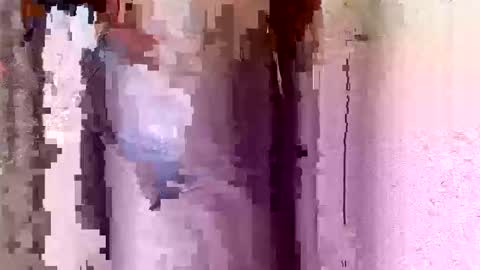Snapshot of hornyebon9 chatting on October 2025 09:20:01 AM hornyebon9 online show from October 2025 09:20:01 AM