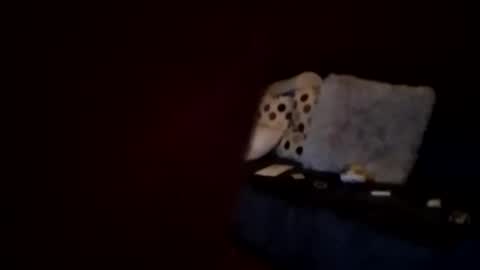 Snapshot of hornypaul84 chatting on January 2026 01:19:01 AM hornypaul84 online show from January 2026 01:19:01 AM