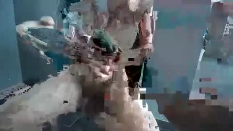 Hornyrippa online show from December 2024 01:23:01 AM