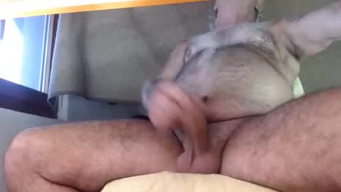 Snapshot of hornyswissman chatting on September 2025 05:01:01 PM hornyswissman online show from September 2025 05:01:01 PM