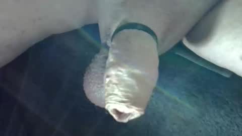 Snapshot of horse_dick9 chatting on October 2025 10:46:02 AM horse_dick9 online show from October 2025 10:46:02 AM