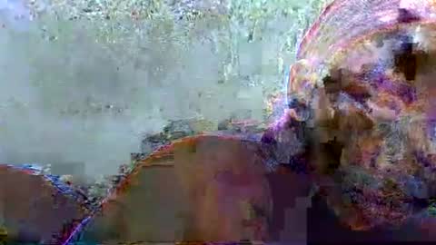 hotagrace online show from February 2026 07:16:01 AM