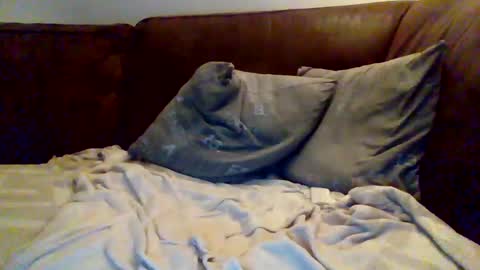 Snapshot of hotboy381 chatting on March 2025 05:43:02 PM hotboy381 online show from March 2025 05:43:02 PM