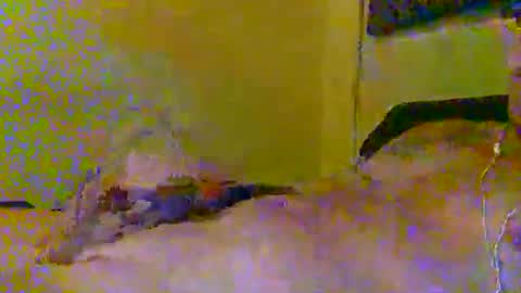 hotjox online show from March 2026 06:09:02 AM