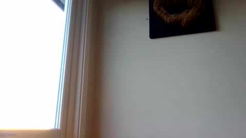 hototo2 online show from November 2025 11:32:02 AM