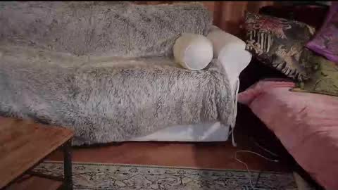 Snapshot of hotpeppersx chatting on October 2025 08:21:02 PM Betty boob online show from October 2025 08:21:02 PM