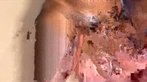 houseesposo online show from November 2025 09:36:02 PM