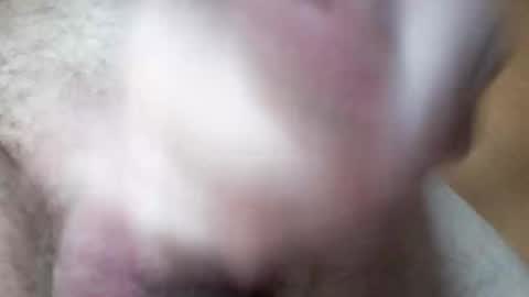 hrubesch2019 online show from October 2025 10:54:02 AM