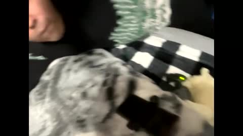 htfsb online show from February 2026 01:57:01 AM