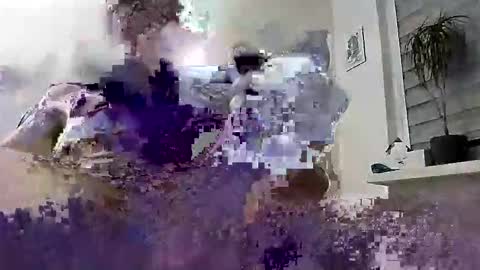 David online show from March 2026 06:58:01 PM