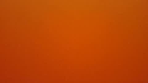 hundeleine online show from February 2026 10:44:02 AM