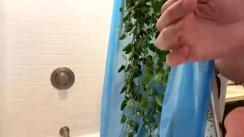 hung_and_horny1005 online show from November 2025 11:15:01 PM