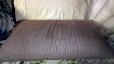hung420boner online show from June 2026 08:02:02 AM