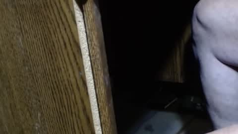 hungsofine online show from December 2024 09:09:02 PM