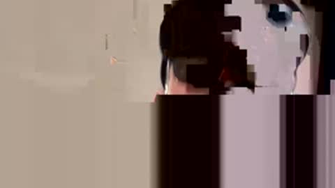 huntershard11997 online show from November 2025 06:50:01 AM