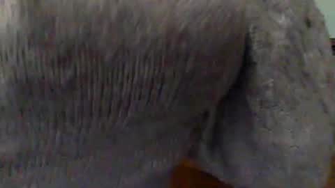 Goddess Hunyy online show from March 2025 10:10:01 PM