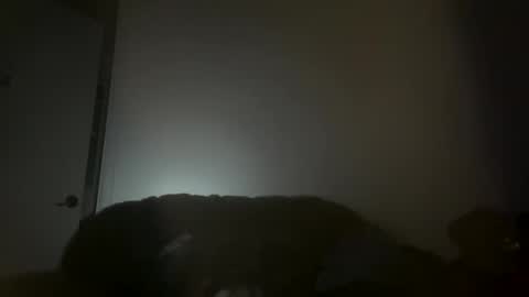 hustlemacc online show from November 2025 02:11:01 PM