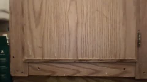 Hybrid Lover419 online show from February 2026 05:36:01 AM