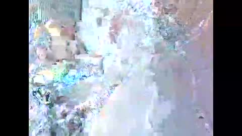 jamaeca online show from November 2025 10:48:02 AM